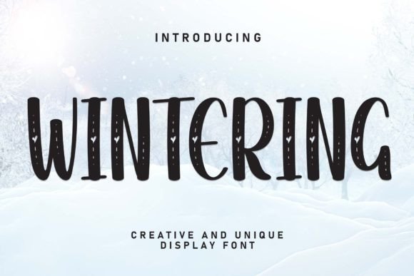 Wintering: A Sweet Handwritten Font for Creative Designs